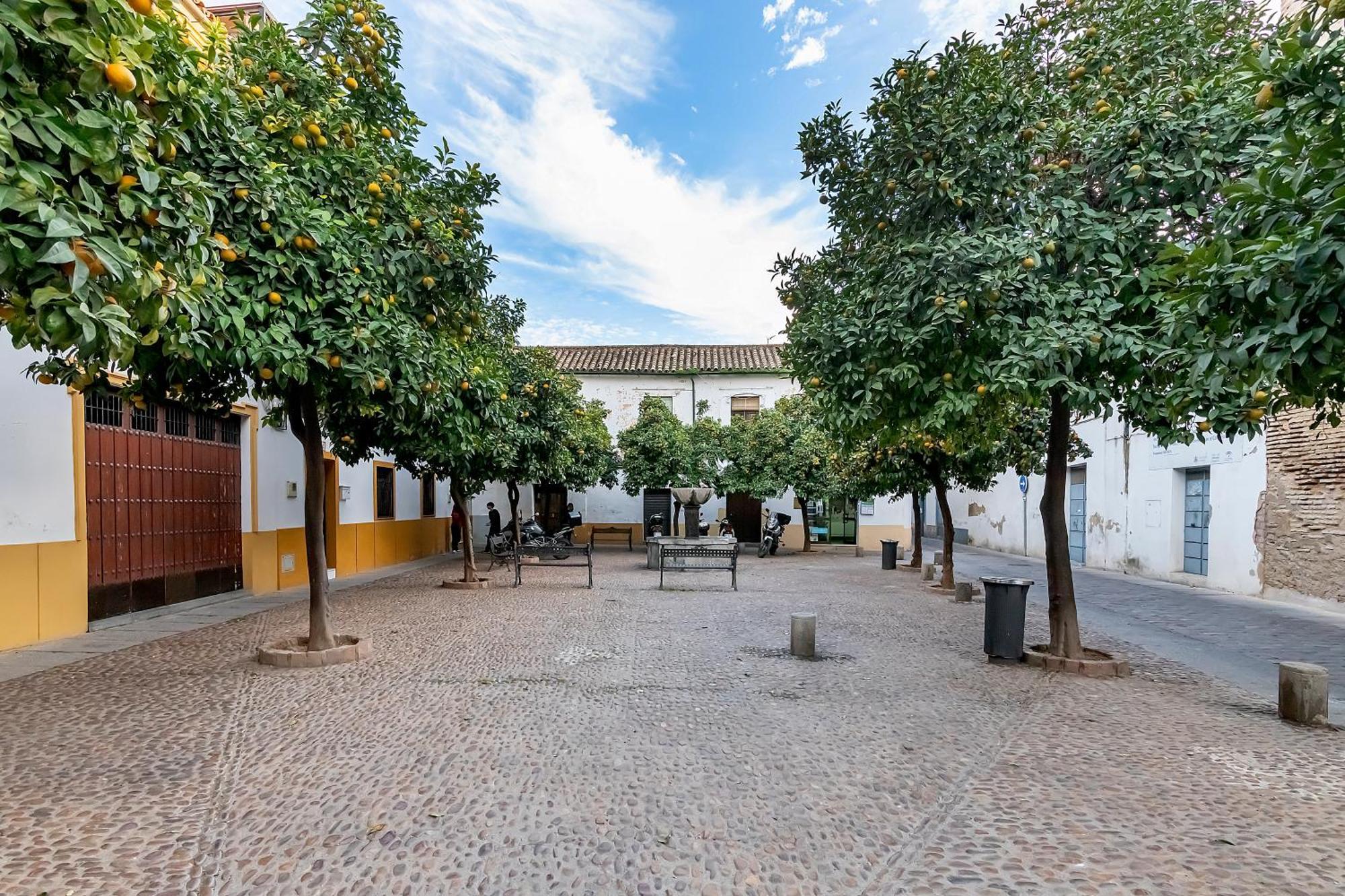 La Yaya María Apartamento Córdova Exterior foto